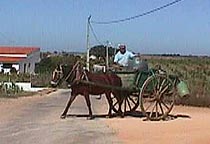 Espiche_to_collect_water.JPG (13511 bytes)