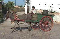 donkeycart.JPG (5779 bytes)