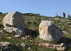 Yet more.JPG (21641 bytes)