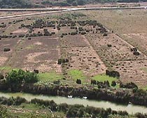 BRpaddyfields.JPG (21555 bytes)