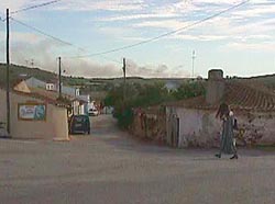 CMFigueira.JPG (12589 bytes)