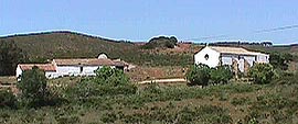 NSdeGuadalupe.JPG (11698 bytes)