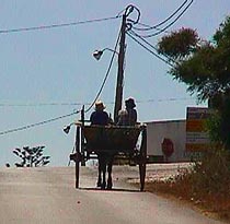 Ancient and newer.JPG (17213 bytes)