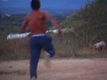 Catchapig.JPG (8355 bytes)