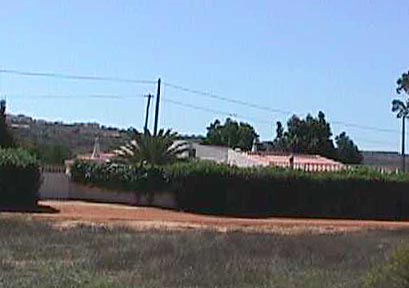 Horta do Avozinho.JPG (21705 bytes)