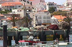 Nets_on_fishermans_quayside.JPG (24952 bytes)