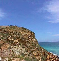 bugaufort.JPG (18609 bytes)