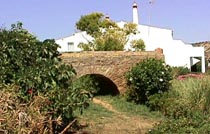 lzroman.JPG (16645 bytes)