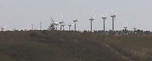 windfarm.JPG (7792 bytes)
