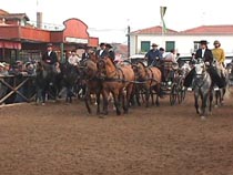 4 in hand.JPG (14800 bytes)