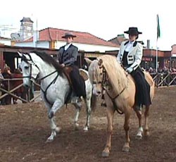 Amazonas.JPG (22432 bytes)