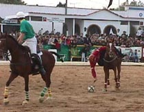 Collecting the ball.JPG (18336 bytes)