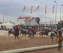 Gola!.JPG (14537 bytes)