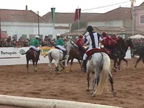 Horse Ball.JPG (15306 bytes)