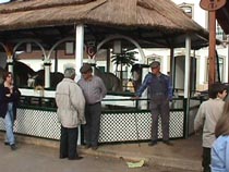 Stud horses.JPG (18063 bytes)