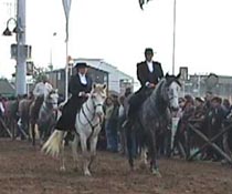 parade2 largest horse.JPG (13759 bytes)