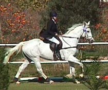 FouquetSJ4nov.JPG (20375 bytes)