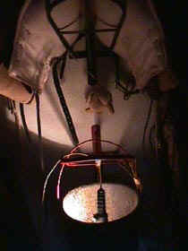 bucketchicks.JPG (13957 bytes)