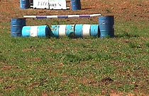 Grass at last.JPG (20457 bytes)