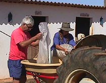 Seed in the hopper.JPG (18408 bytes)