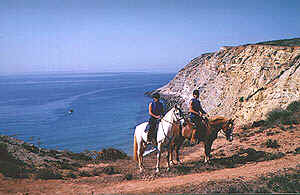 samnMik.JPG (25025 bytes)