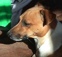 Lj.jpg (14025 bytes)