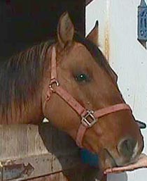 AngelBell.JPG (15406 bytes)