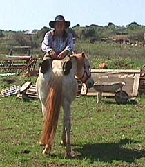 D_and_T.JPG (25261 bytes)