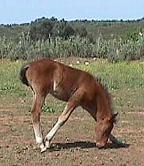 How do you reach it.JPG (21657 bytes)