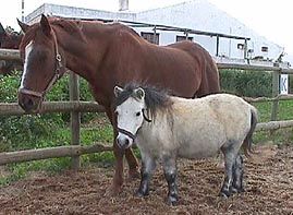 SatancCloud.JPG (24877 bytes)