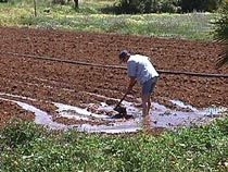 B---dyhard work.JPG (25190 bytes)