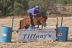 D and Scrumps jumping.JPG (25486 bytes)