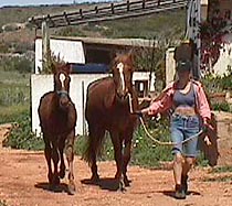 D with Princesa and King.JPG (26114 bytes)