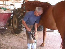 Farrier.JPG (18882 bytes)