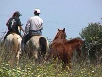 Off we go then.JPG (16932 bytes)