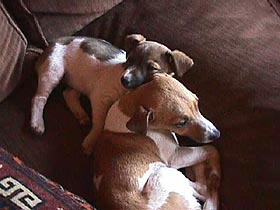 On the sofa.JPG (19108 bytes)