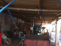 Rooftie3101.JPG (19319 bytes)