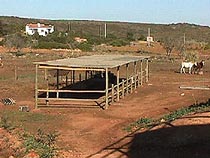 Shelter.JPG (17650 bytes)