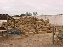 Where shall we put the rest of load 3.JPG (15097 bytes)