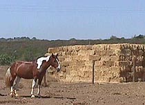 hatstack.JPG (14614 bytes)