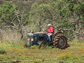 pasture weeding.JPG (34902 bytes)