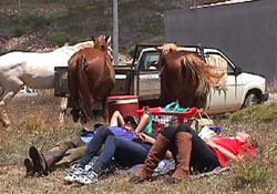 westcoastjuly.JPG (22376 bytes)