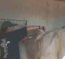 xica winter coat.JPG (8381 bytes)