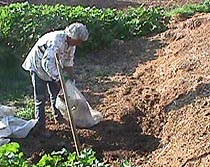 Make your garden grow.JPG (27723 bytes)