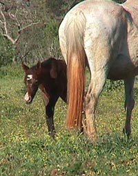 Tresbien.JPG (25304 bytes)