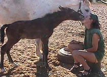 Tresbien1day.JPG (19446 bytes)