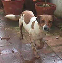 Muddy Fairy 1 yr.JPG (14881 bytes)